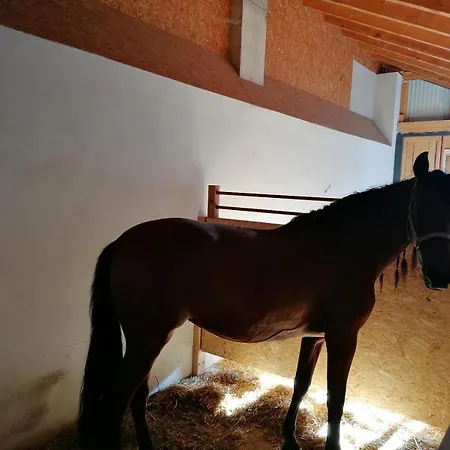 Wild Life Ranch בית נופש *