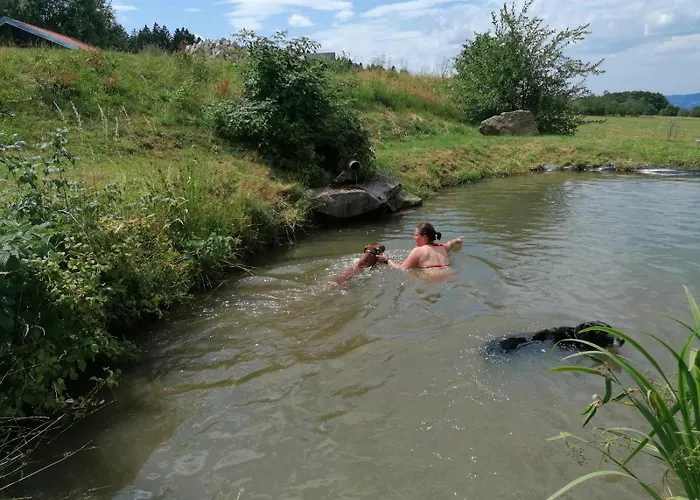 Wild Life Ranch *