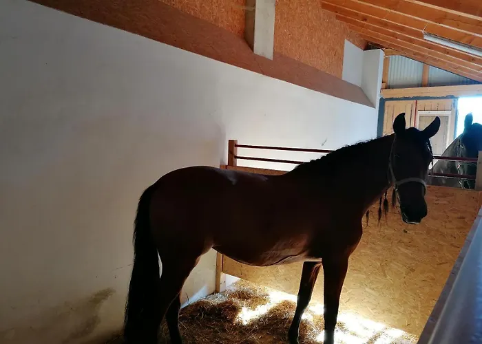 Wild Life Ranch بيت للعطل *
