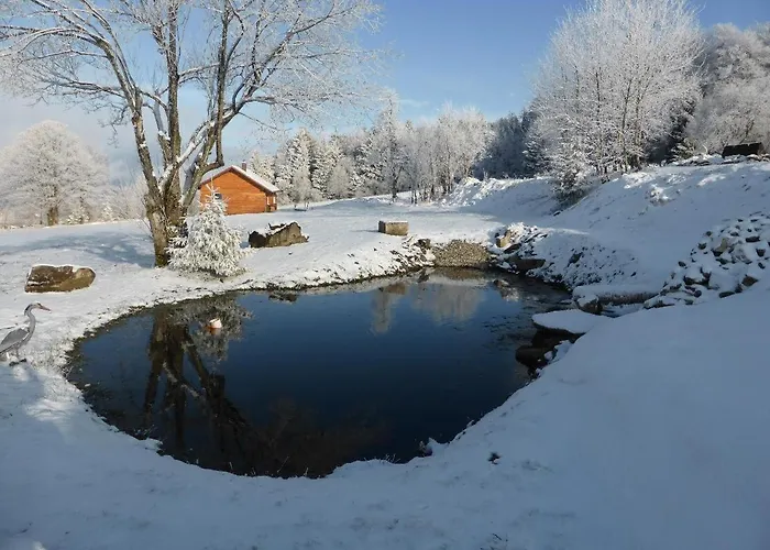 بيت للعطل Wild Life Ranch *