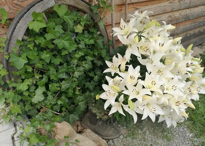 Wild Life Ranch بيت للعطل