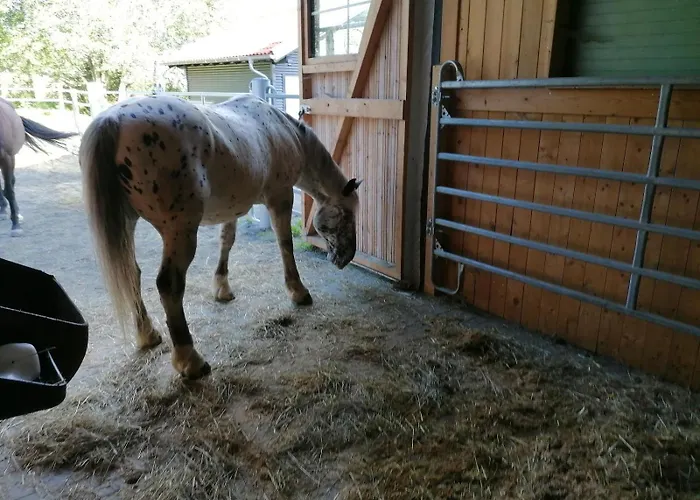 بيت للعطل Wild Life Ranch *